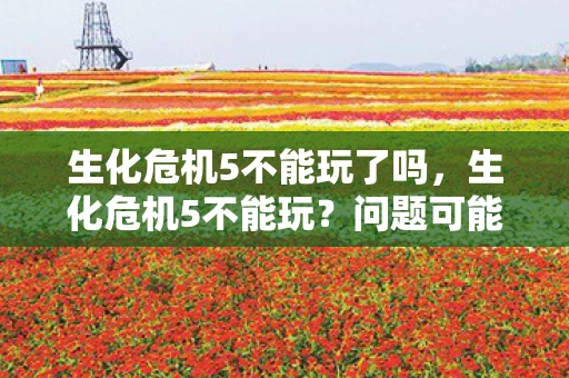生化危机5不能玩了吗，生化危机5不能玩？问题可能出在这里