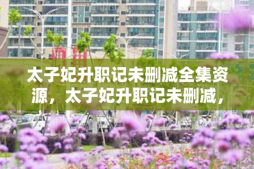 太子妃升职记未删减全集资源，太子妃升职记未删减，一场跨越时空的宫廷风云