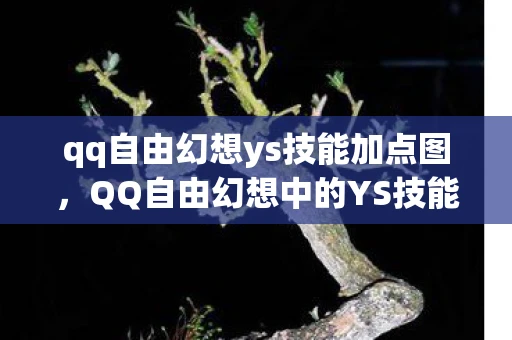 qq自由幻想ys技能加点图,QQ自由幻想中的YS技能解析 qq自由幻想ys技能加点图,QQ自由幻想中的YS技能解析