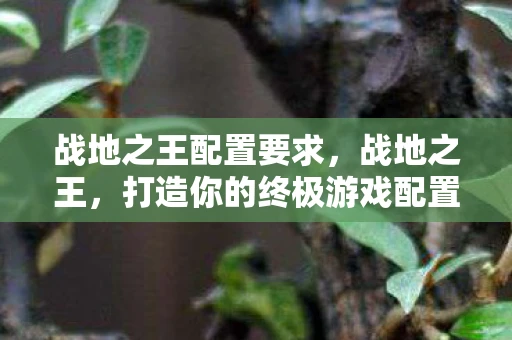 战地之王配置要求，战地之王，打造你的终极游戏配置