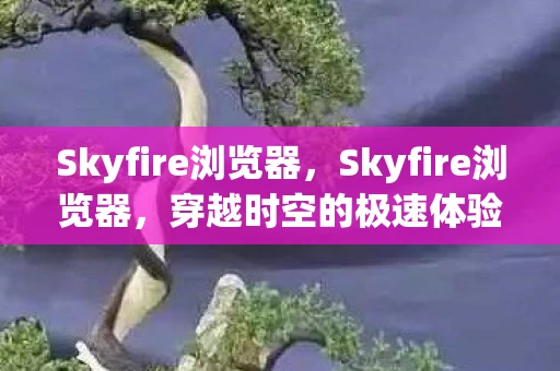 Skyfire浏览器，Skyfire浏览器，穿越时空的极速体验