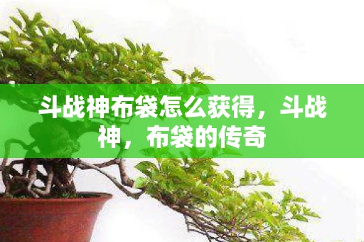 斗战神布袋怎么获得，斗战神，布袋的传奇