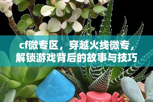 cf微专区，穿越火线微专，解锁游戏背后的故事与技巧