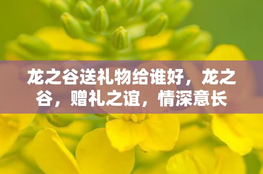 龙之谷送礼物给谁好,龙之谷,赠礼之谊,情深意长 龙之谷送礼物给谁好,龙之谷,赠礼之谊,情深意长