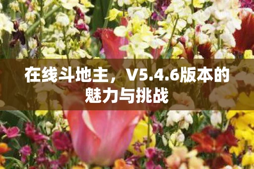 6版本的魅力与挑战图片