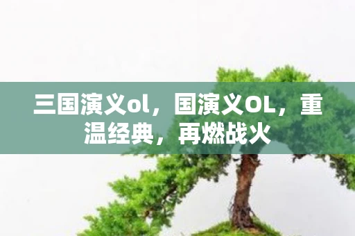 三国演义ol,国演义OL,重温经典,再燃战火 三国演义ol,国演义OL,重温经典,再燃战火