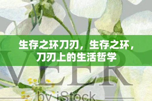 生存之环刀刃，生存之环，刀刃上的生活哲学