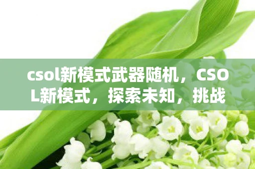 csol新模式武器随机，CSOL新模式，探索未知，挑战极限