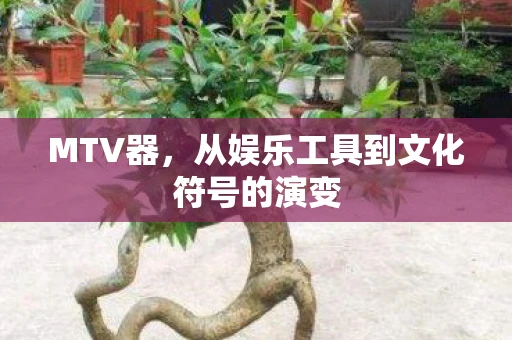 MTV器，从娱乐工具到文化符号的演变