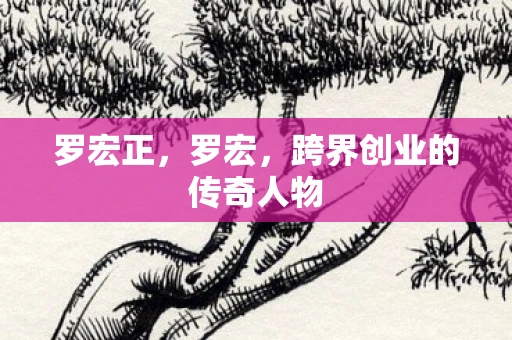 罗宏正，罗宏，跨界创业的传奇人物