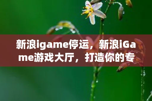 新浪igame停运，新浪iGame游戏大厅，打造你的专属娱乐空间