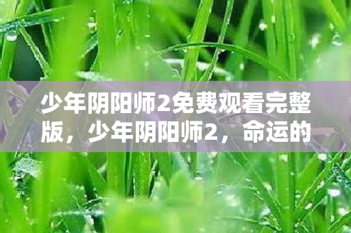 少年阴阳师2免费观看完整版，少年阴阳师2，命运的交织与传承
