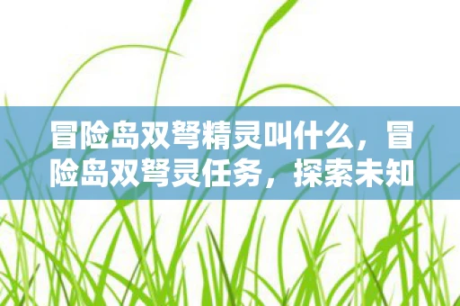 冒险岛双弩精灵叫什么，冒险岛双弩灵任务，探索未知，挑战自我