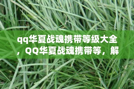 qq华夏战魂携带等级大全,QQ华夏战魂携带等,解锁华夏文化的神秘力量 qq华夏战魂携带等级大全,QQ华夏战魂携带等,解锁华夏文化的神秘力量