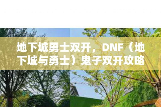 地下城勇士双开，DNF（地下城与勇士）鬼子双开攻略，打造高效多开的游戏世界