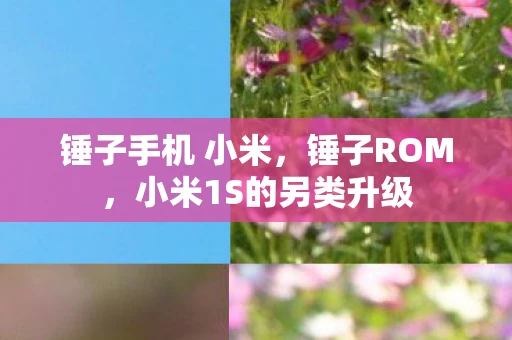 锤子手机 小米,锤子ROM,小米1S的另类升级 锤子手机 小米,锤子ROM,小米1S的另类升级