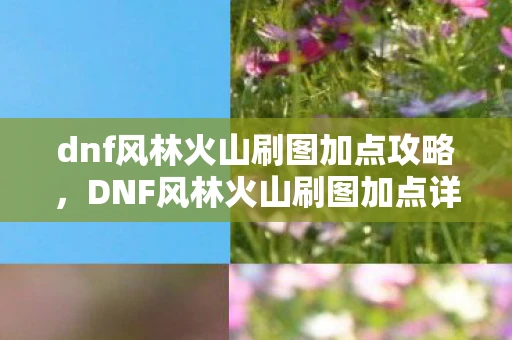 dnf风林火山刷图加点攻略，DNF风林火山刷图加点详解