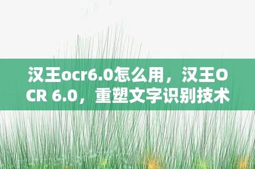 汉王ocr6.0怎么用，汉王OCR 6.0，重塑文字识别技术的未来