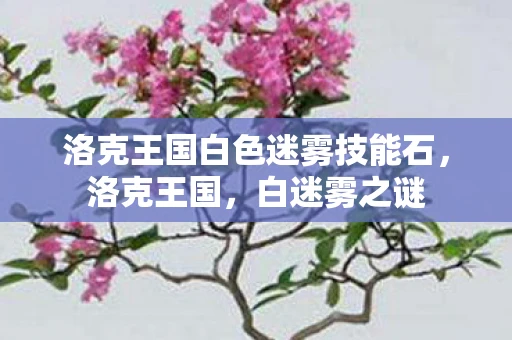 洛克王国白色迷雾技能石，洛克王国，白迷雾之谜