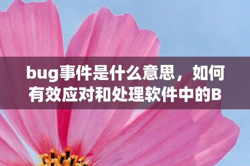 bug事件是什么意思，如何有效应对和处理软件中的Bug事件