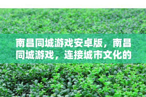 南昌同城游戏安卓版,南昌同城游戏,连接城市文化的桥梁 南昌同城游戏安卓版,南昌同城游戏,连接城市文化的桥梁