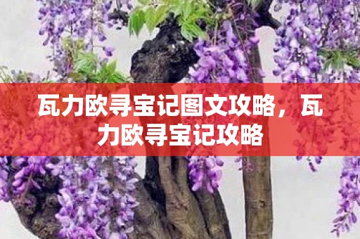 瓦力欧寻宝记图文攻略,瓦力欧寻宝记攻略 瓦力欧寻宝记图文攻略,瓦力欧寻宝记攻略