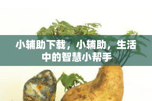 小辅助下载，小辅助，生活中的智慧小帮手