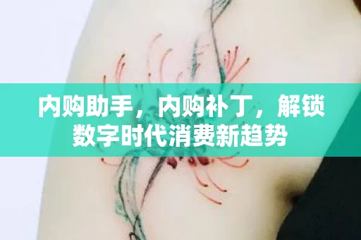 内购助手,内购补丁,解锁数字时代消费新趋势 内购助手,内购补丁,解锁数字时代消费新趋势