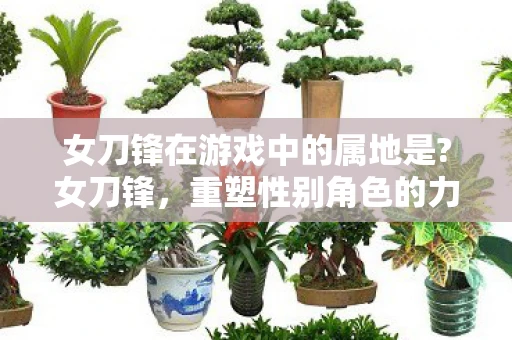 女刀锋在游戏中的属地是?女刀锋,重塑性别角色的力量与魅力 女刀锋在游戏中的属地是?女刀锋,重塑性别角色的力量与魅力