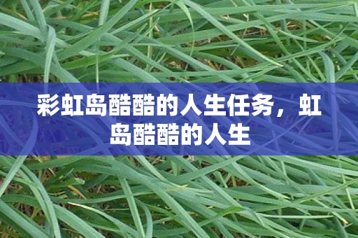 彩虹岛酷酷的人生任务,虹岛酷酷的人生 彩虹岛酷酷的人生任务,虹岛酷酷的人生