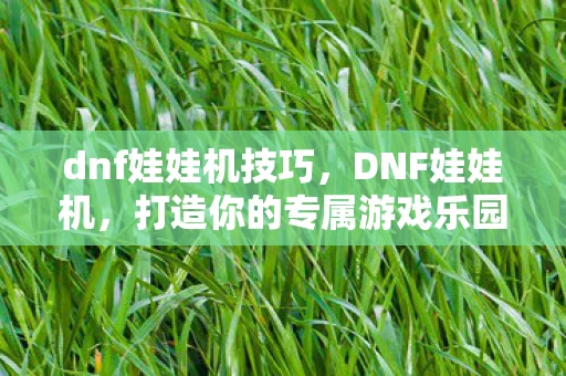 dnf娃娃机技巧,DNF娃娃机,打造你的专属游戏乐园 dnf娃娃机技巧,DNF娃娃机,打造你的专属游戏乐园