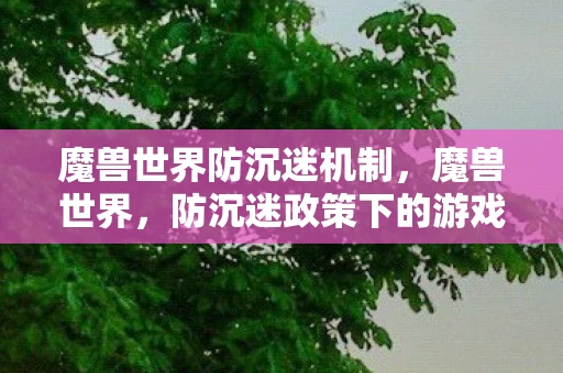魔兽世界防沉迷机制,魔兽世界,防沉迷政策下的游戏新生态 魔兽世界防沉迷机制,魔兽世界,防沉迷政策下的游戏新生态