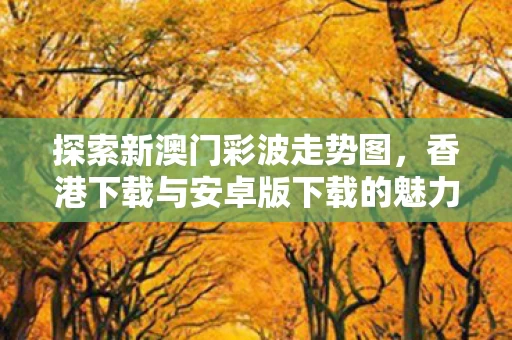 香港下载与安卓版下载的魅力图片
