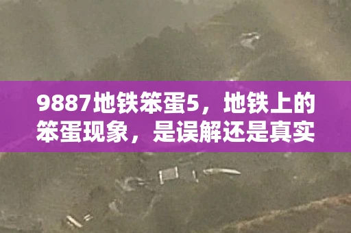 9887地铁笨蛋5，地铁上的笨蛋现象，是误解还是真实存在？