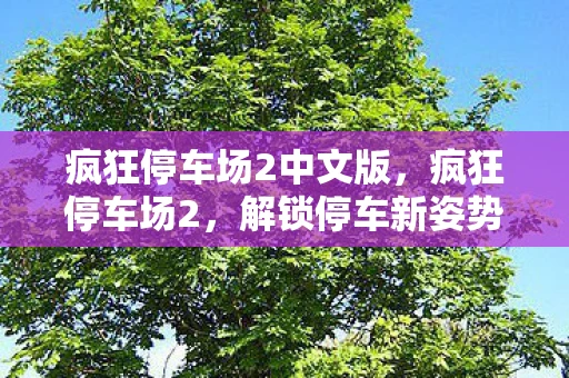 疯狂停车场2中文版,疯狂停车场2,解锁停车新姿势,挑战你的驾驶极限 疯狂停车场2中文版,疯狂停车场2,解锁停车新姿势,挑战你的驾驶极限