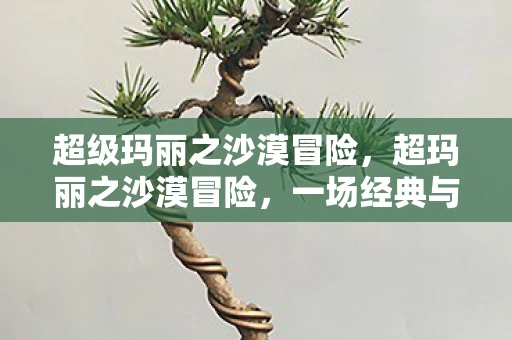 超级玛丽之沙漠冒险,超玛丽之沙漠冒险,一场经典与创新的碰撞 超级玛丽之沙漠冒险,超玛丽之沙漠冒险,一场经典与创新的碰撞