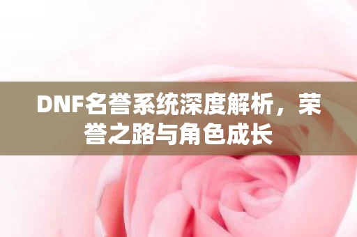 DNF名誉系统深度解析图片
