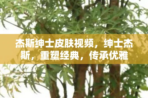 杰斯绅士皮肤视频，绅士杰斯，重塑经典，传承优雅