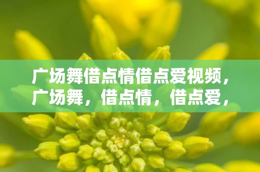 广场舞借点情借点爱视频,广场舞,借点情,借点爱,舞动生活 广场舞借点情借点爱视频,广场舞,借点情,借点爱,舞动生活
