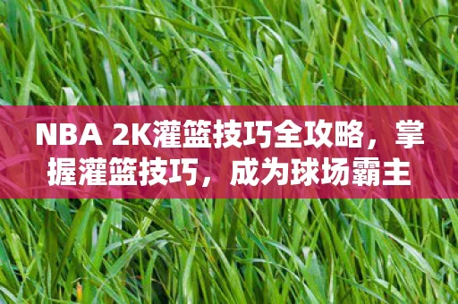 NBA 2K灌篮技巧全攻略图片