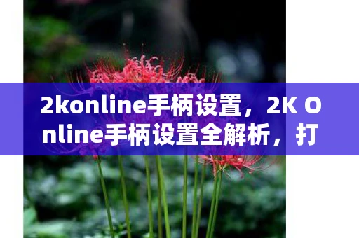 2konline手柄设置，2K Online手柄设置全解析，打造你的专属游戏操控体验