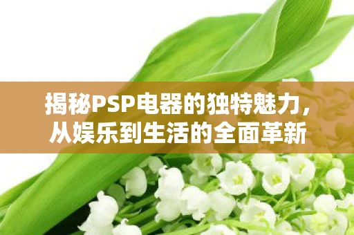 揭秘PSP电器的独特魅力,从娱乐到生活的全面革新 揭秘PSP电器的独特魅力,从娱乐到生活的全面革新