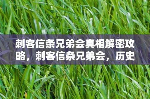 刺客信条兄弟会真相解密攻略,刺客信条兄弟会,历史与虚构的交织 刺客信条兄弟会真相解密攻略,刺客信条兄弟会,历史与虚构的交织
