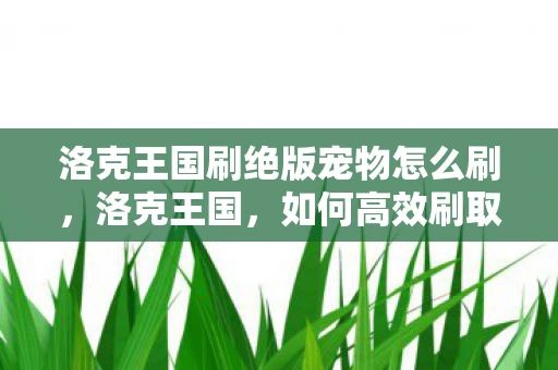 洛克王国刷绝版宠物怎么刷，洛克王国，如何高效刷取绝版宠物