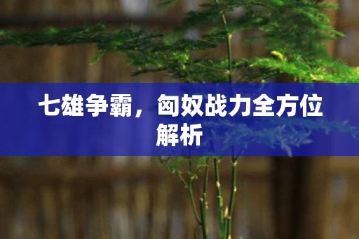 匈奴战力全方位解析图片