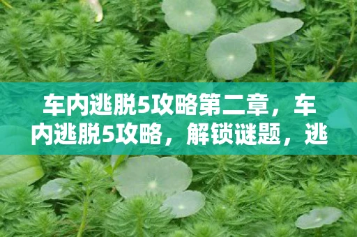 车内逃脱5攻略第二章,车内逃脱5攻略,解锁谜题,逃出困境 车内逃脱5攻略第二章,车内逃脱5攻略,解锁谜题,逃出困境