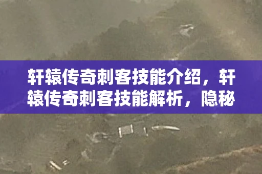 轩辕传奇刺客技能介绍,轩辕传奇刺客技能解析,隐秘与致命的艺术 轩辕传奇刺客技能介绍,轩辕传奇刺客技能解析,隐秘与致命的艺术
