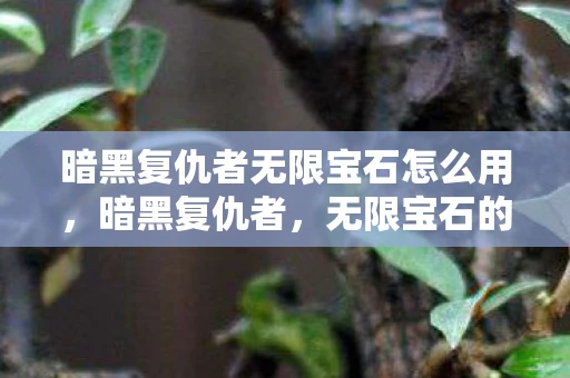 暗黑复仇者无限宝石怎么用，暗黑复仇者，无限宝石的神秘力量
