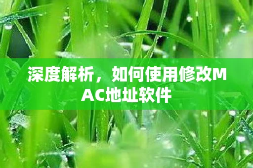 如何使用修改MAC地址软件图片