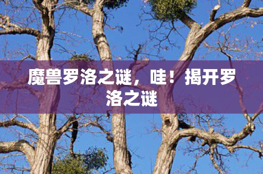 魔兽罗洛之谜,哇!揭开罗洛之谜 魔兽罗洛之谜,哇!揭开罗洛之谜